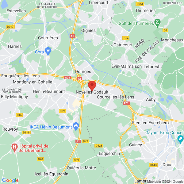 google map