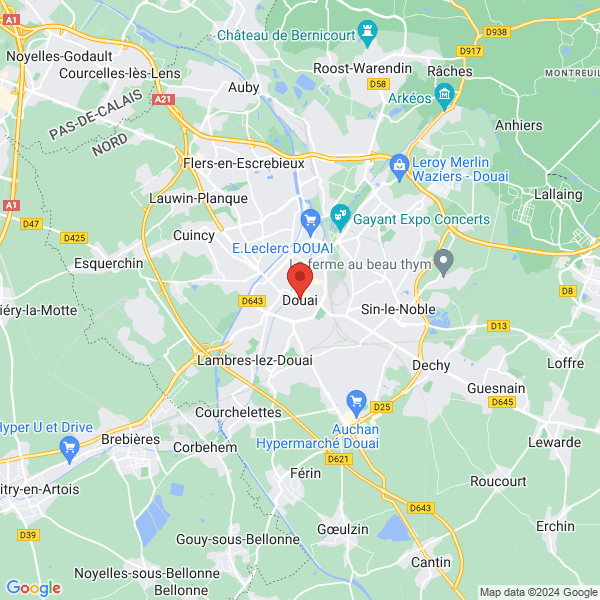 google map