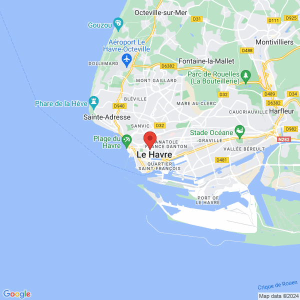 google map