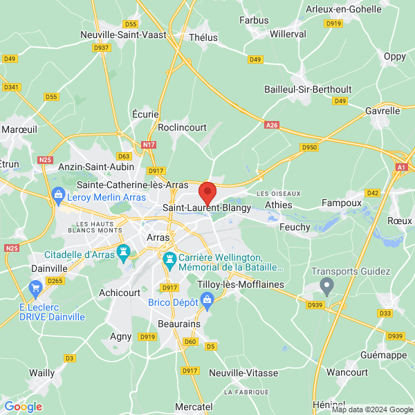 google map